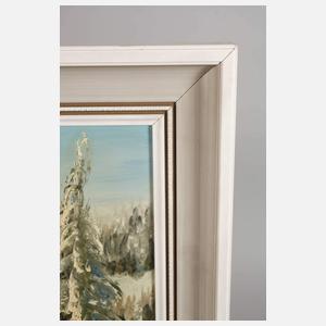 Zelinka, Weite Winterlandschaft