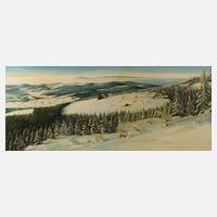 Zelinka, Weite Winterlandschaft111
