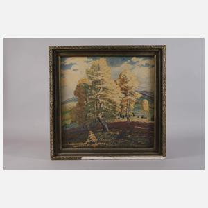 Sommer im Mittelgebirge