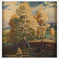 Sommer im Mittelgebirge111