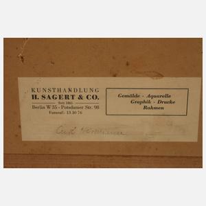 Der Vesuv bei Neapel