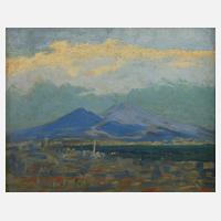 Der Vesuv bei Neapel111