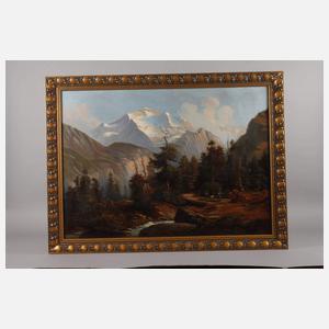 Sommerliche Hochgebirgslandschaft