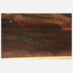 Sommerliche Hochgebirgslandschaft