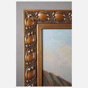 Sommerliche Hochgebirgslandschaft