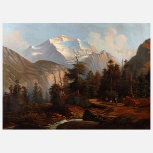 Sommerliche Hochgebirgslandschaft