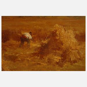 Ein Kornfeld in Sussex