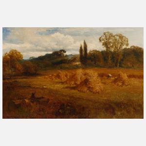 Ein Kornfeld in Sussex