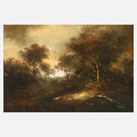 Landschaft im Abendlicht111