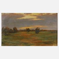 Landschaft am Abend111