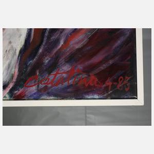 Catalina Braun, Cellistin