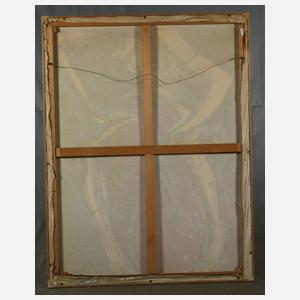 Catalina Braun, Cellistin