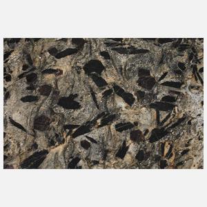 Granat und Hornblende in Glimmerschiefer