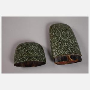 Brillenetui Rochenhaut