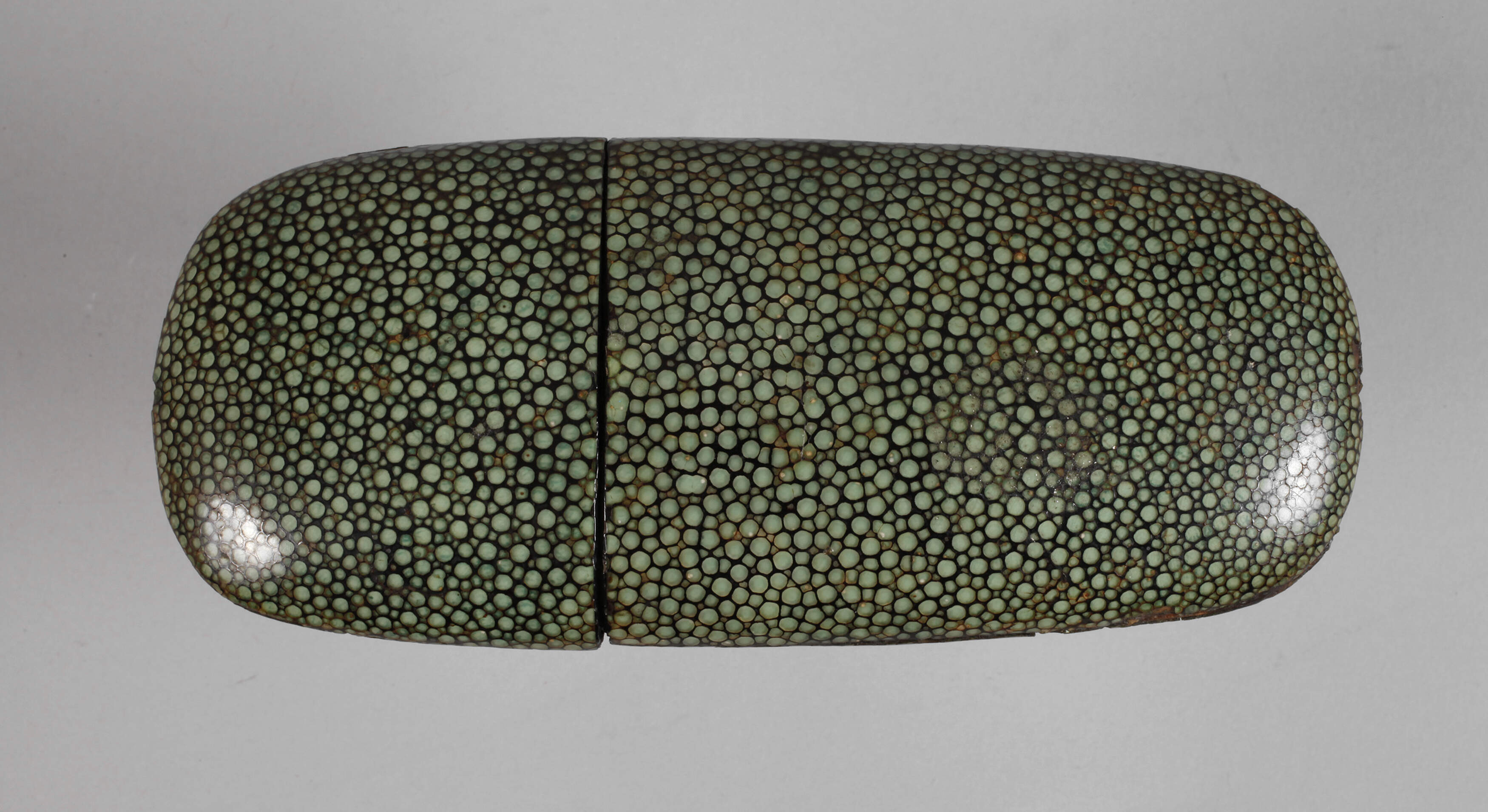 Brillenetui Rochenhaut