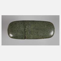 Brillenetui Rochenhaut111