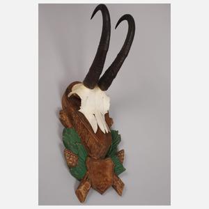 Konvolut Jagdtrophäen