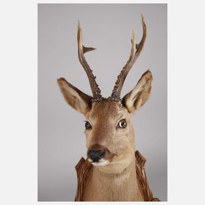 Jagdtrophäe