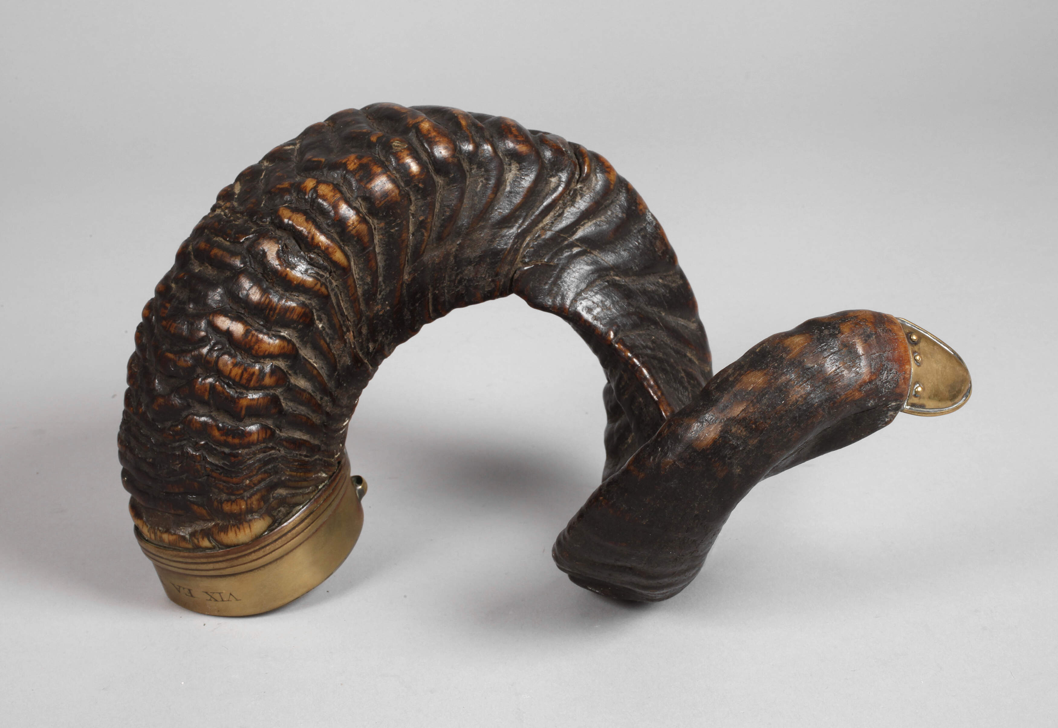 Horn mit Messingmontur