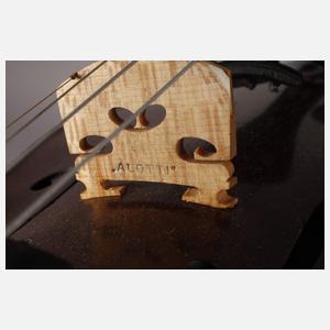 Zwei Violinen im Etui