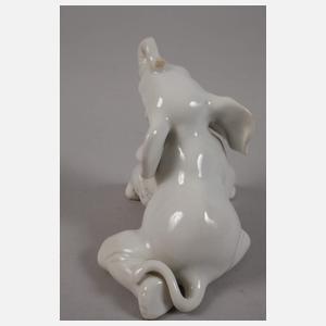 Allach kleiner Elefant