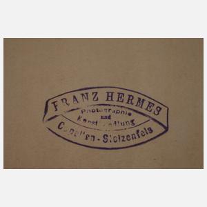 Gerahmtes Stickmustertuch mit Pferdemotiv