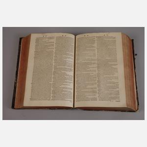 Dictionarium Graeco-latinum 1562