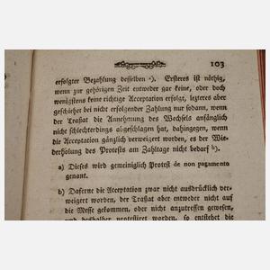 Grundsätze des Wechsel-Rechts