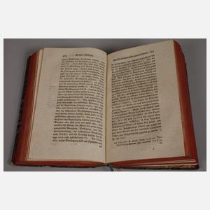 Grundsätze des deutschen peinlichen Rechts