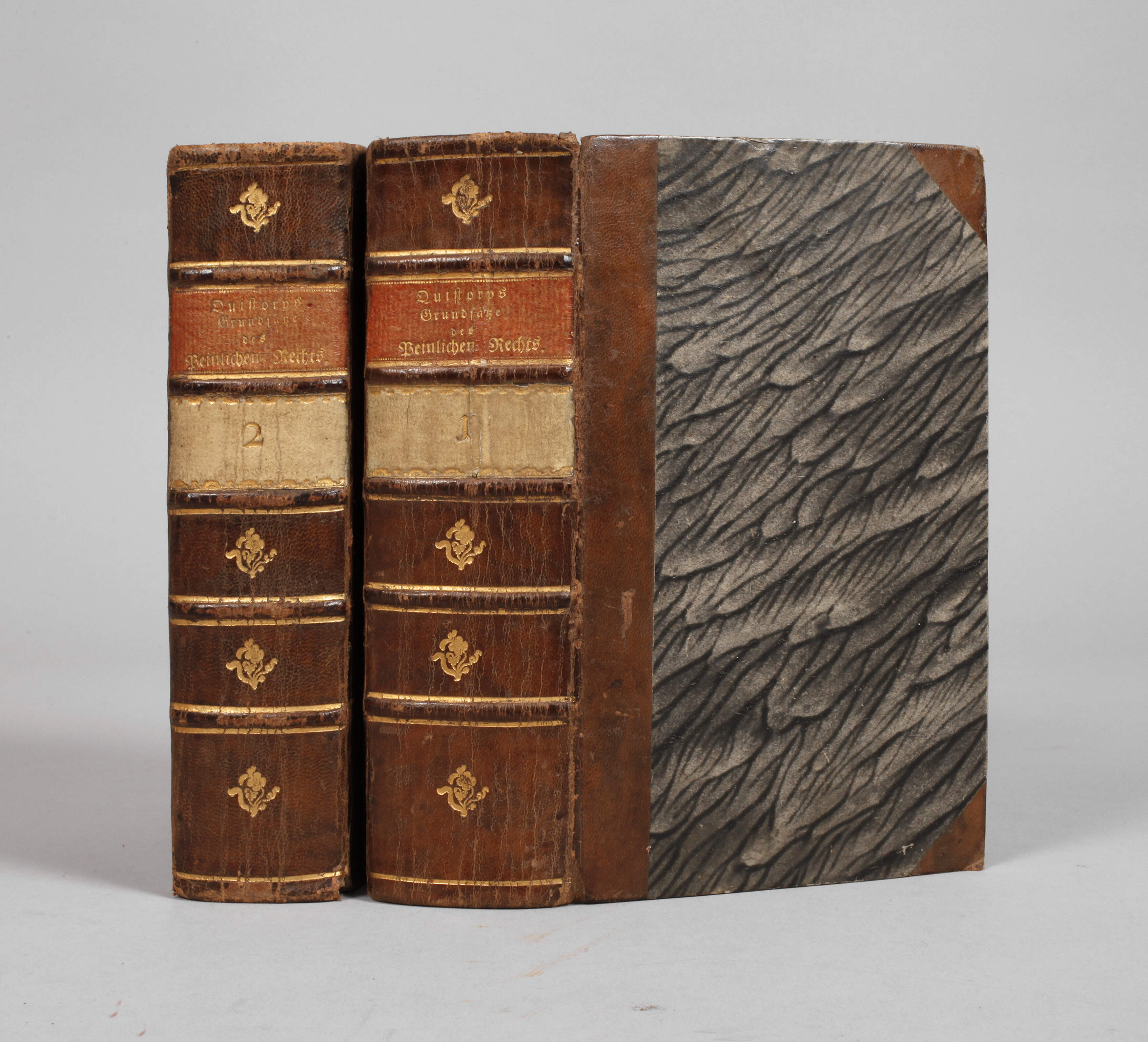 Grundsätze des deutschen peinlichen Rechts