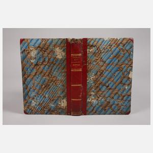 Mittheilungen aus dem magnetischen Schlafleben