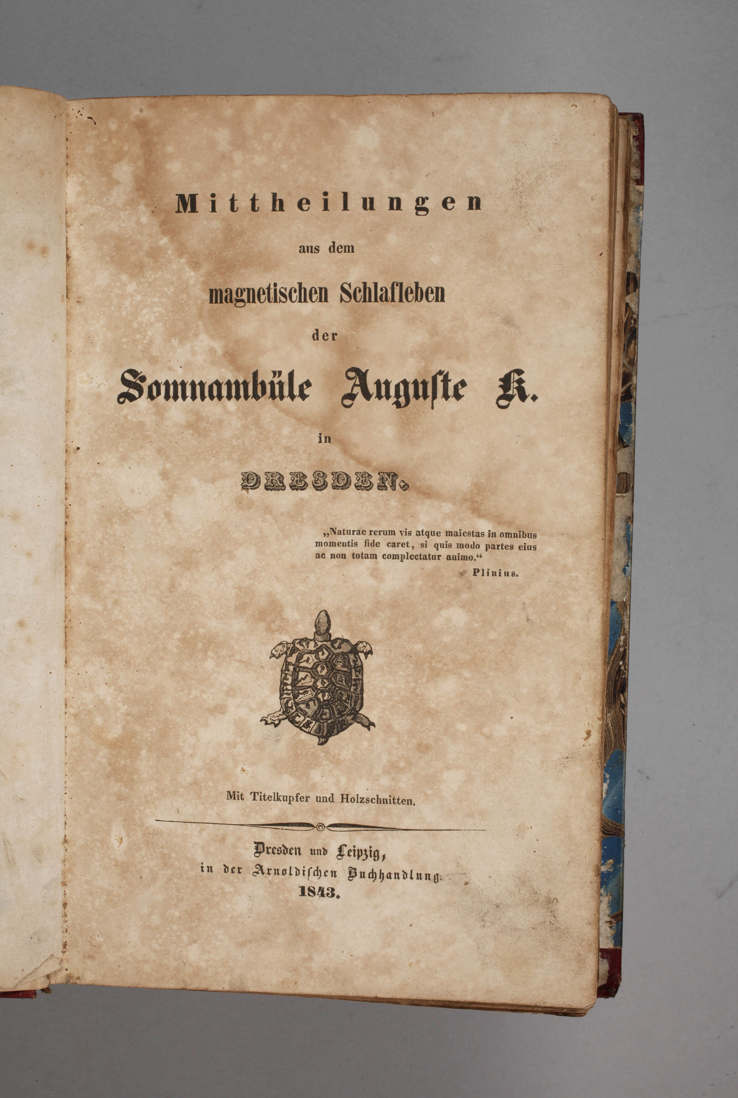 Mittheilungen aus dem magnetischen Schlafleben