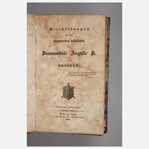 Mittheilungen aus dem magnetischen Schlafleben