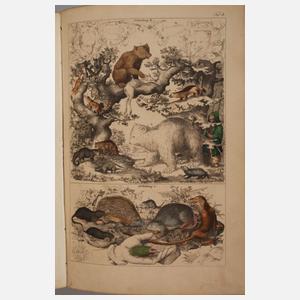 Malerische Naturgeschichte der drei Reiche