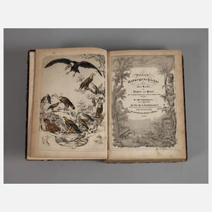 Malerische Naturgeschichte der drei Reiche