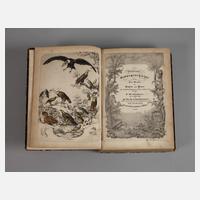 Malerische Naturgeschichte der drei Reiche111