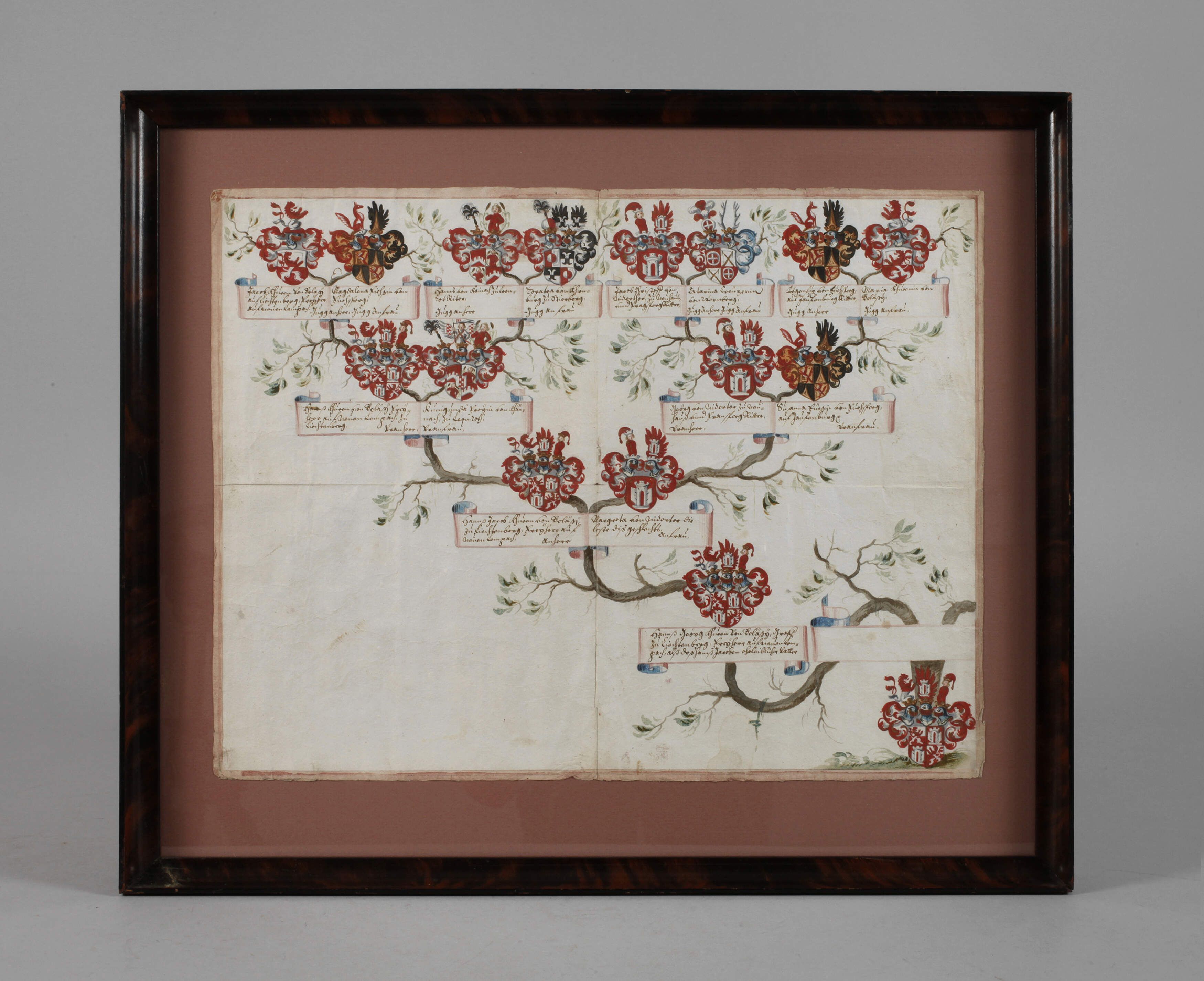 Prachtvoller Stammbaum