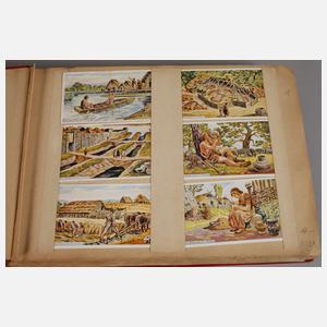 Album Kaufmannsbilder