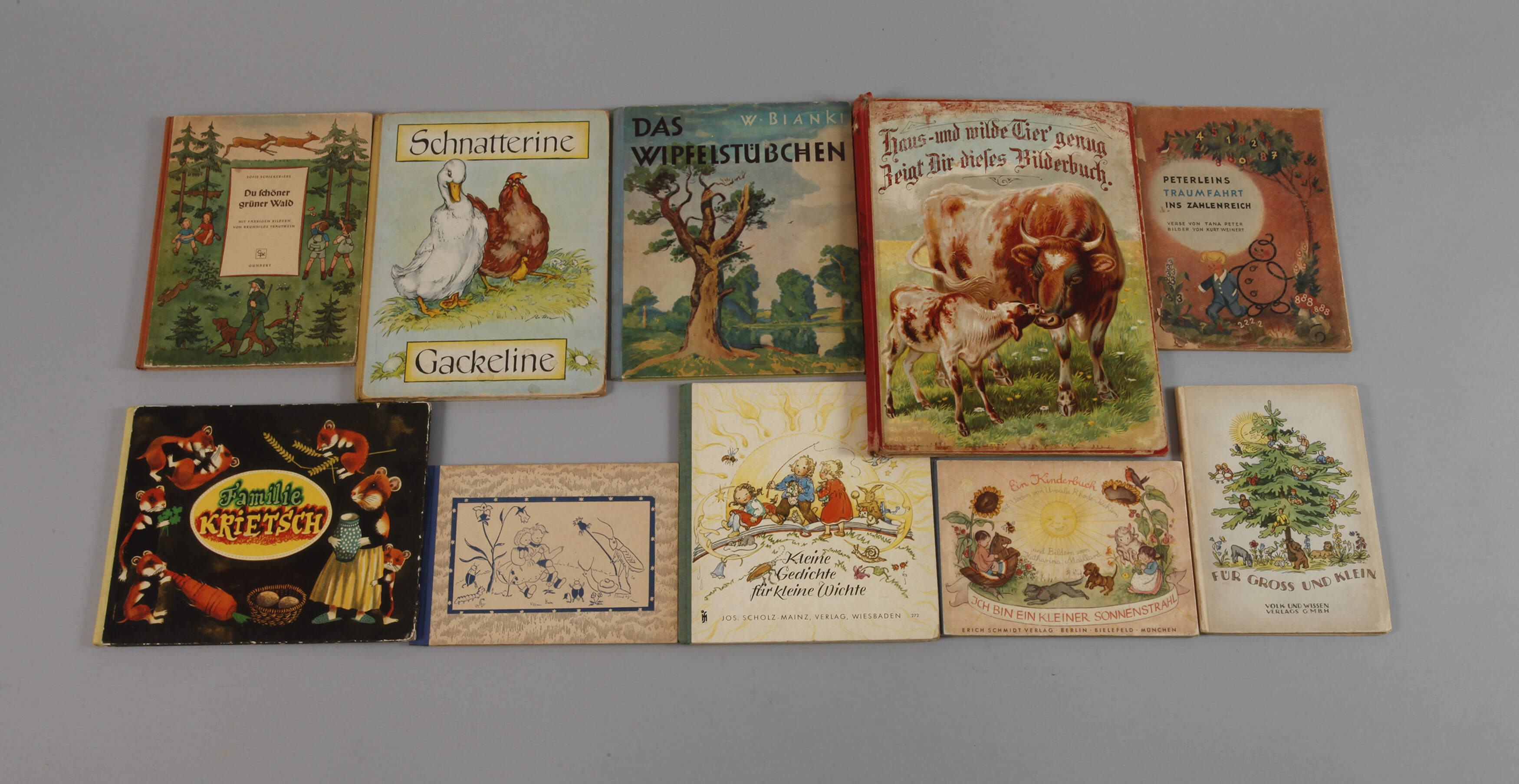 Konvolut Kinderbücher