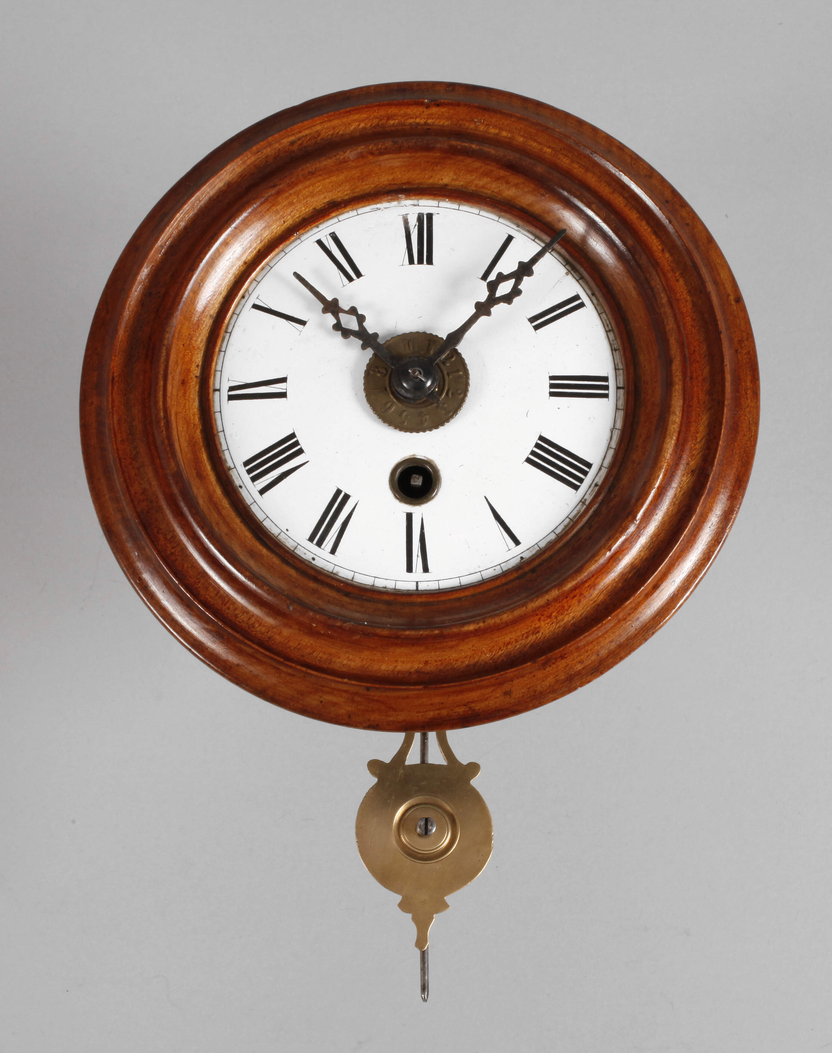 Kleiner Wandwecker Schwarzwald