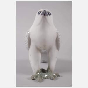 Kopenhagen „Islandfalke“