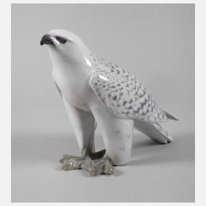 Kopenhagen „Islandfalke“