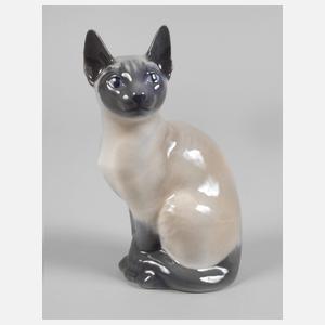 Kopenhagen Siamkatze