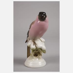 Nymphenburg "Dompfaff (Gimpel)"