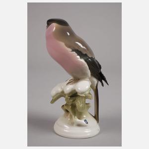 Nymphenburg "Dompfaff (Gimpel)"