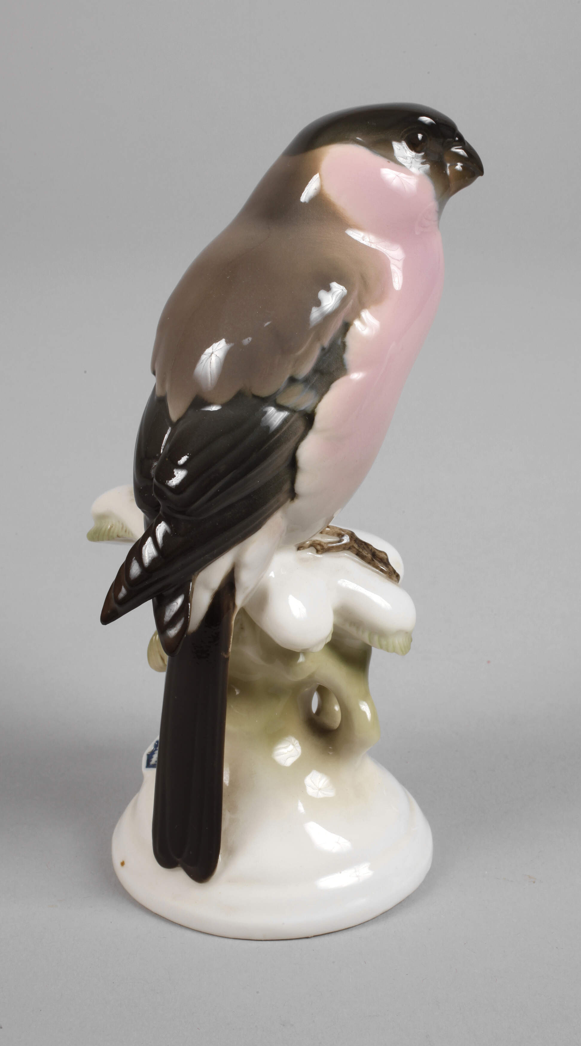 Nymphenburg "Dompfaff (Gimpel)"