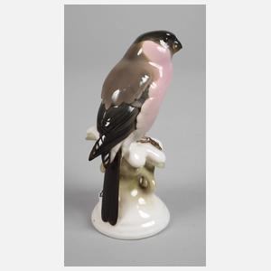 Nymphenburg "Dompfaff (Gimpel)"