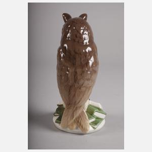 Nymphenburg Büchereule