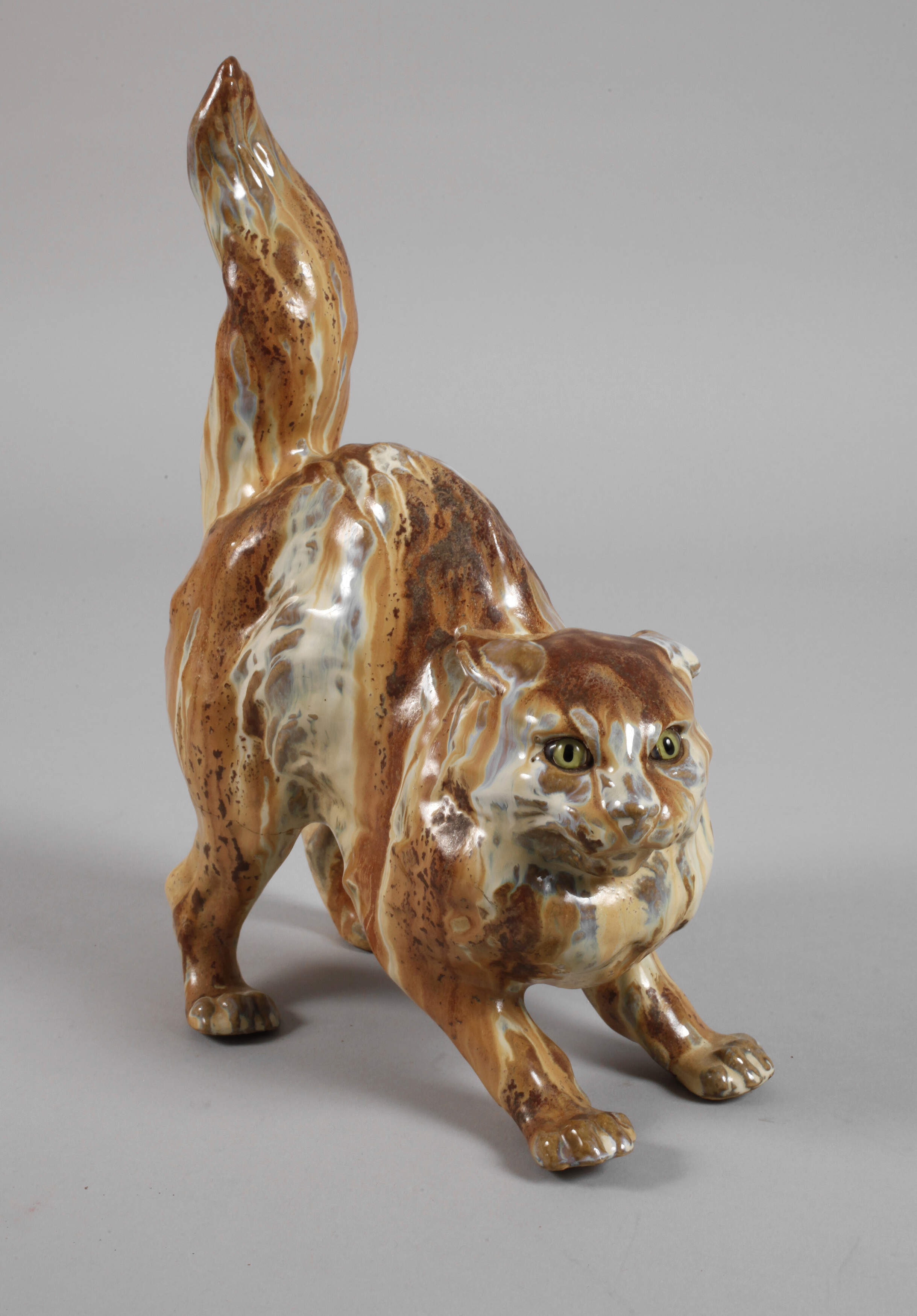 Charles Virion Katze