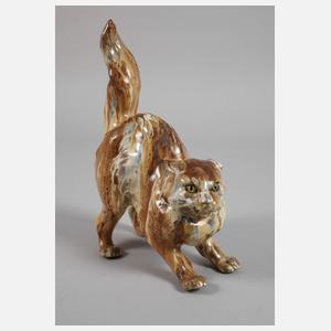 Charles Virion Katze